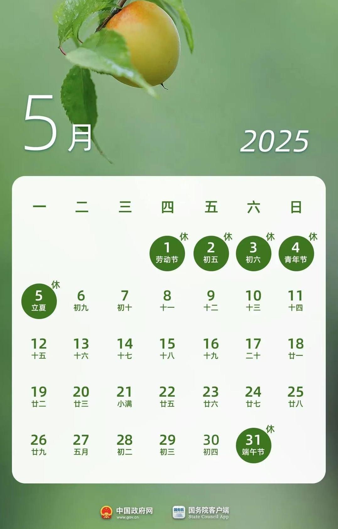 1744003286514.jpg